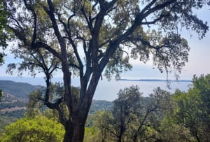 Les Balcons de Cavalière par le col de Barral - Le Lavandou - 6