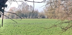Bois de la Noyelle - Gruson - 12