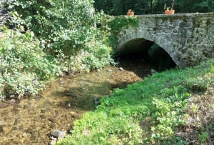 Murol et promenade bucolique au milieu des champs - NELSON - 7
