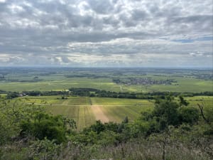 Excursion exquise à VTT sur la route des Grands Crus - Meursault - 7