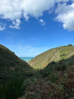 Promenade dans la vallée du Lude - Carolles - 58