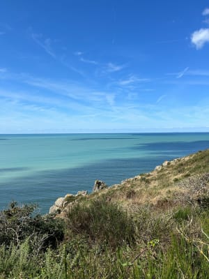 Promenade dans la vallée du Lude - Carolles - 60