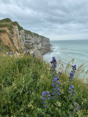 Balade au Tilleul avec magnifique panorama - Le Tilleul - 11
