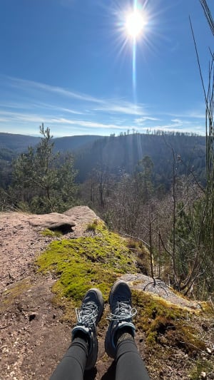 La petite Pierre, Rocher du Corbeau, des Païens et Blanc - La Petite-Pierre - 36