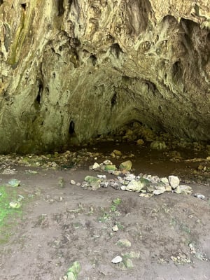 La Grotte et l'Aven de Peyre-Haute - Méjannes-le-Clap - 14