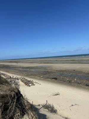 Baie de Wissant et paradis pour les oiseaux - Anthony - 11