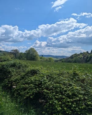 Tour du lac des Bariousses et escapade ressourçante - Treignac - 4