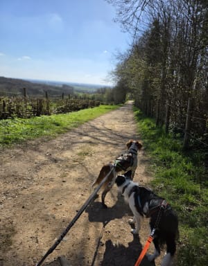 Les Trois Monts - Berthen - 12