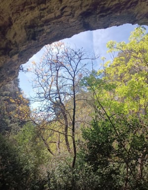 Du château de Joucas aux Gorges de Véroncle - Joucas - 7