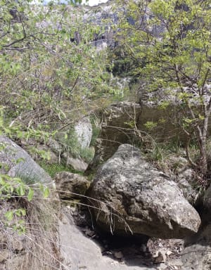 Du château de Joucas aux Gorges de Véroncle - Joucas - 8