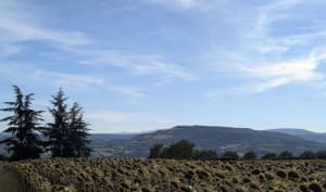 Le tour du Puy de Bane - Lempdes - 6