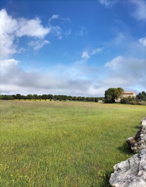 Haut de Nîmes - frederic - 8