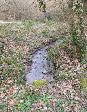 Boucle à Saint-Germain du Crioult - BEATRICE - 2