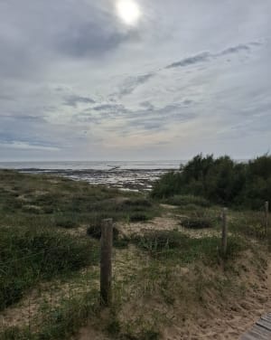 Promenade oleronnaise - Saint-Pierre-d'Oléron - 2