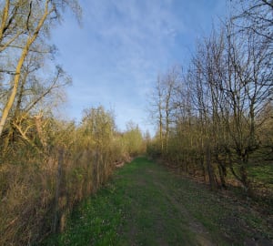 Tourbière de Vred et Bois de Faux - Vred - 8