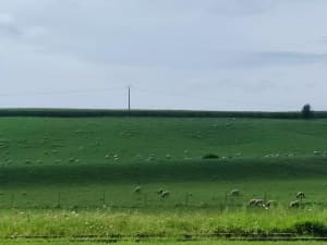 Entre Doullens et Gézaincourt - Doullens - 8