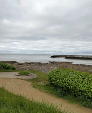 De coolste wandeling in de Pays de la Loire - Pornic - 4