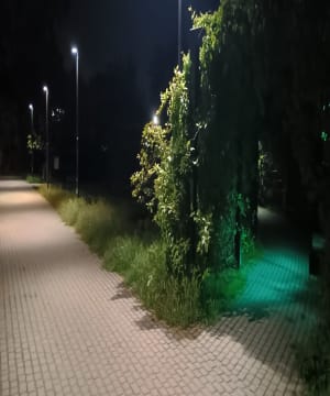 Park Znicza i Warszawa - Warszawa - 6