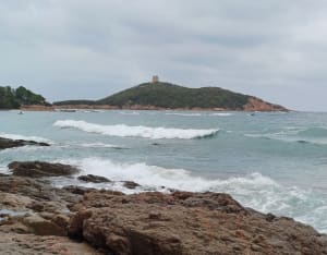 Sentier du littoral Capu di Fiora - Zonza - 11