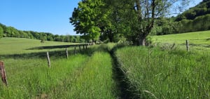 Sentier des Forgettes et " Vergers pour demain " - Halles-sous-les-Côtes - 2