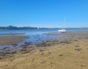 Tour l'île Tudy - Île-Tudy - 31