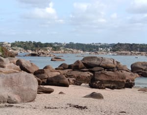 Trégastel et tour de l'île Renote - Trégastel - 39