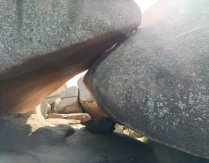 Trégastel et tour de l'île Renote - Trégastel - 40