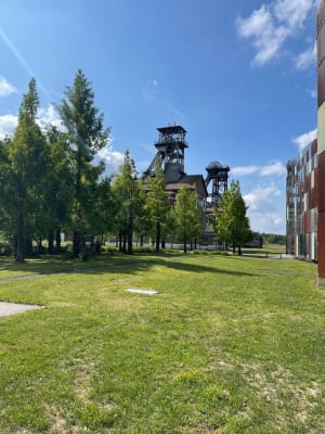 Petite rando ombragée à Oignies - Oignies - 6