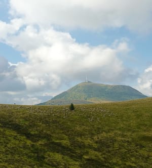 Puy de Clierzou depuis les Goules - Orcines - 9