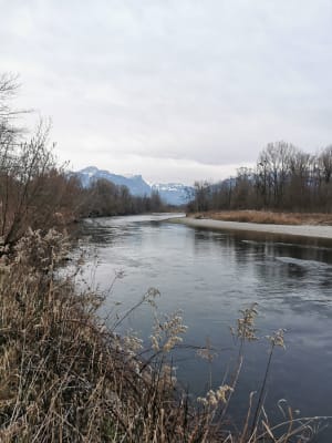 Balade autour de Contamine-sur-Arve - Contamine-sur-Arve - 15