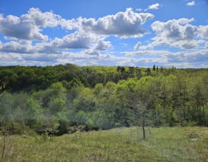 Echappée belle en forêt au pays des pyramides - Pouligny-Saint-Pierre - 5