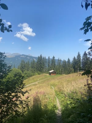 Lac des Evettes, sapins et panoramas - Isabelle - 4