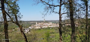 Terre Aux Oubliettes - Montcuq-en-Quercy-Blanc - 10