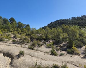 Op de hoogten van het meer van Cécélés - Saint-Mathieu-de-Tréviers - 12
