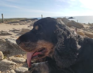 Petite balade sur la côte sauvage de Quiberon - Saint-Pierre-Quiberon - 23