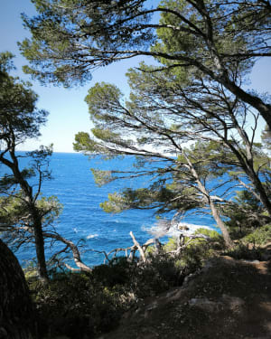 Kustpad van Bandol naar Port d'Alon - Bandol - 34
