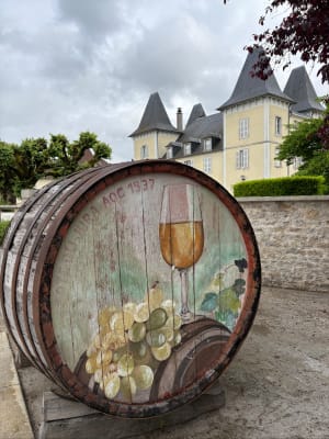 Arlay, Ruffey s/Seille en longeant la Seille - Arlay - 11