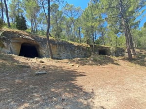 Bollène, les champignonnières et le Lac Vert - Bollène - 6