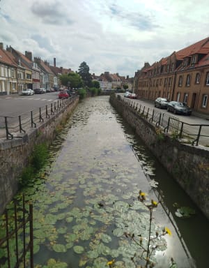 All by my Bergues - Bergues - 4