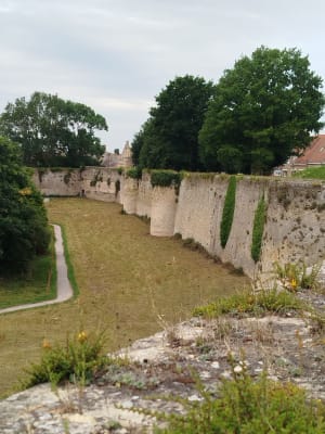 All by my Bergues - Bergues - 6