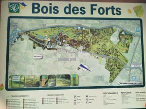 All by my Bergues - Bergues - 7