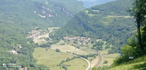 Découverte des bois de Torcieu et fraicheur de vivre - Torcieu - 11