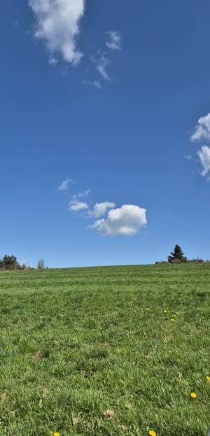 Chaussitre depuis Prélager - Saint-Régis-du-Coin - 9