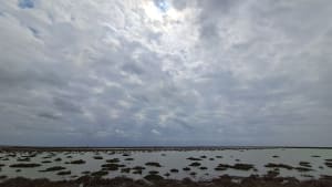 Tour de Vaccarès à vélo, la Camargue depuis les Saintes-Maries-de-la-Mer - Saintes-Maries-de-la-Mer - 4