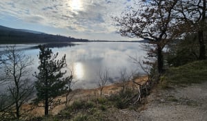 Lac de Saint-Ferréol - Saint-Ferréol - 16