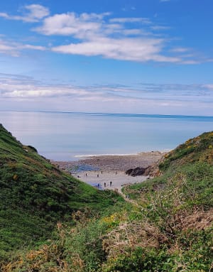 Promenade dans la vallée du Lude - Carolles - 31