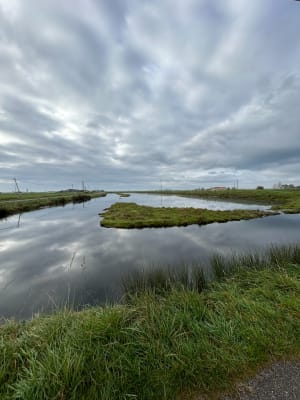 Marais de Saint Cyr - Villeneuve-en-Retz - 2