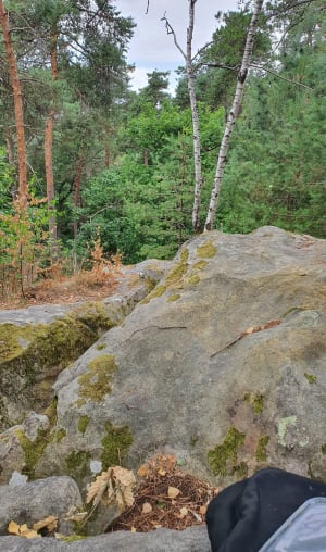 Kinderwandeling: het bos van Fontainebleau van rotsen tot grotten - Fontainebleau - 10