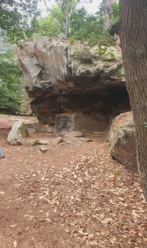 Kinderwandeling: het bos van Fontainebleau van rotsen tot grotten - Fontainebleau - 12