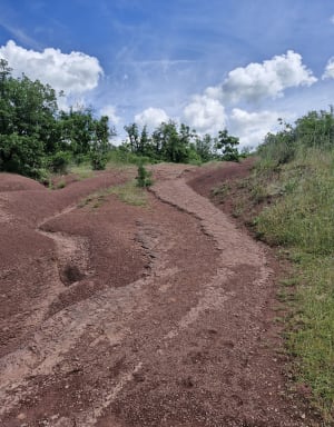 Dunes et Sentier de Maraval - Labarthe-Bleys - 19